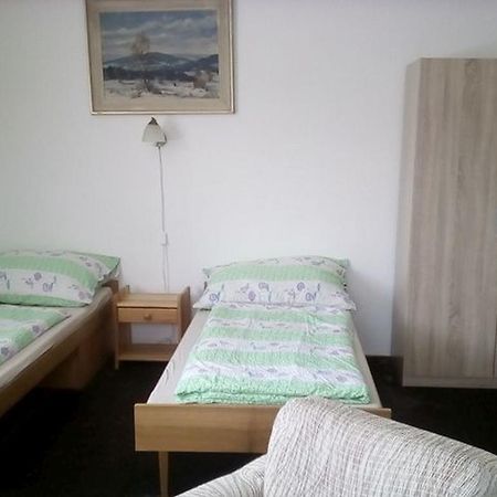 Apartment Vysocina Svratka المظهر الخارجي الصورة